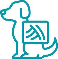 ícone raio-x veterinário