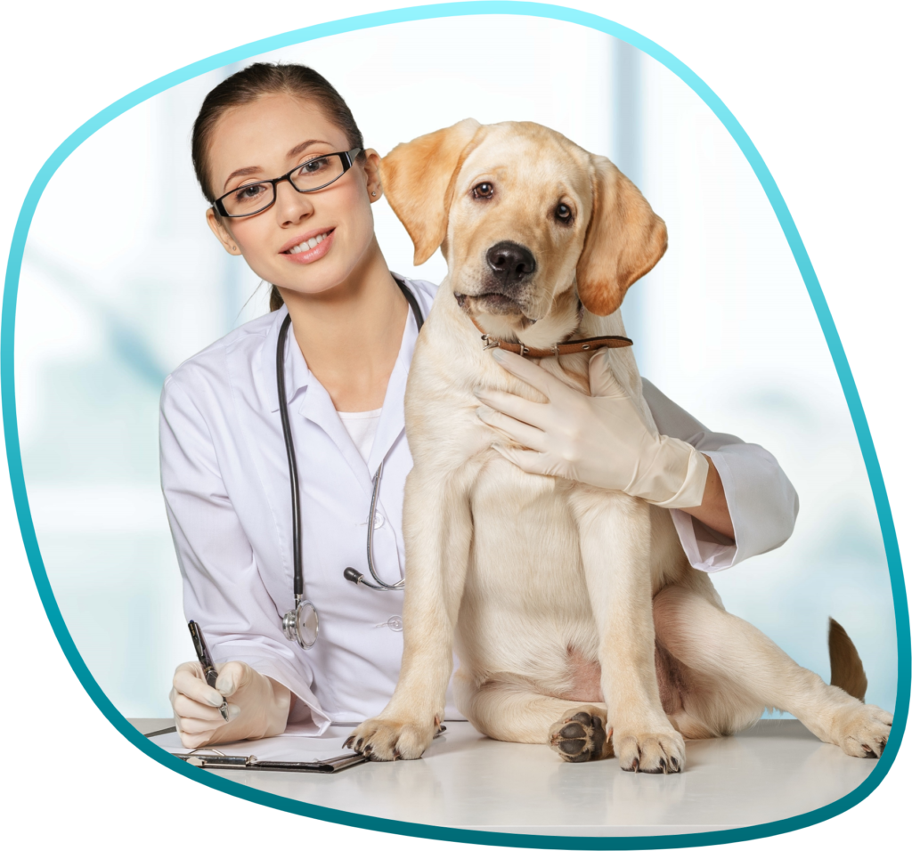 mulher veterinária com cachorro, ambos olhando para a câmera